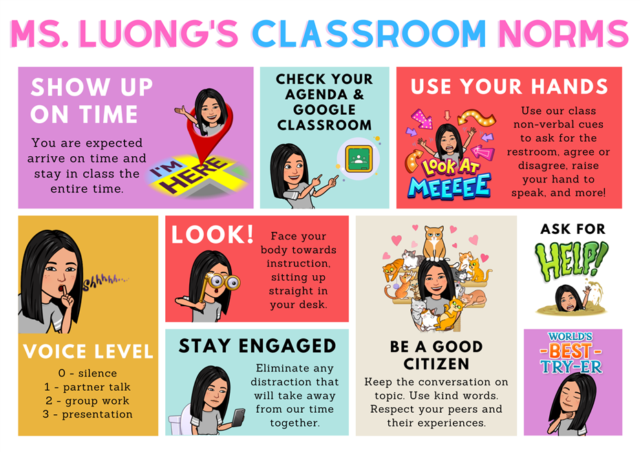 virtualclassroomnorms